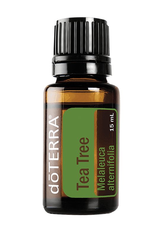 27990406332446