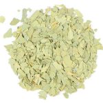 Eucalyptus Leaf OG 2019 04 16  89572