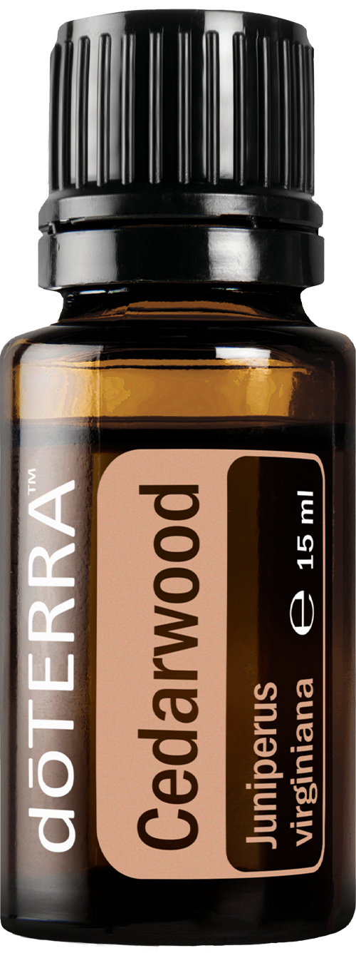 Cedarwood (madera de cedro) 15 m
