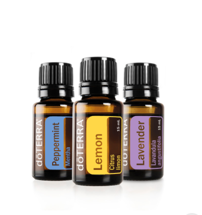 introductory kit